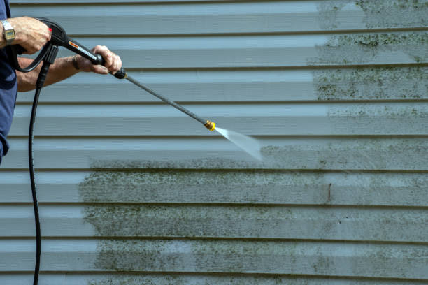 Trusted Williamsville, NY Pressure Washing Experts